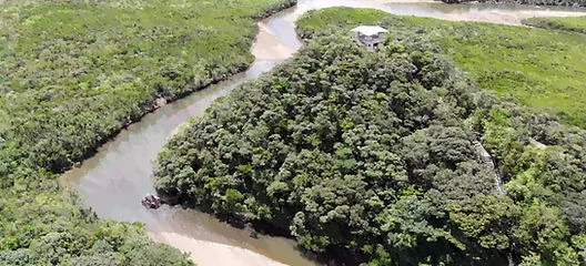 奄美大岛自然主题明信片