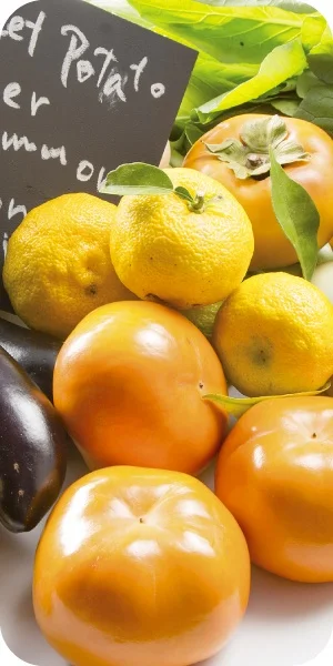 Fresh Harvest Vegetables