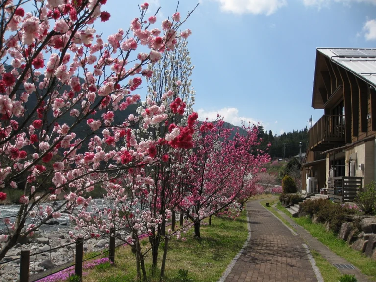 Minami-Hida Kosaka - Image 2