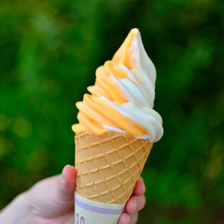 Seasonal Soft Cream Café