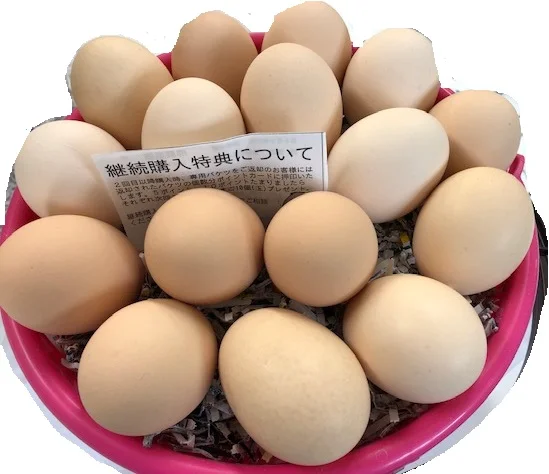 Local Dairy & Meat Shop