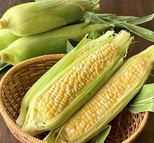 Corn from Kai-Tanaka Highlands