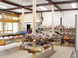 Local Specialty Store