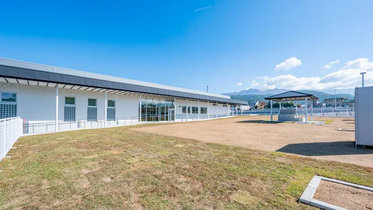 芋煮广场小吃摊