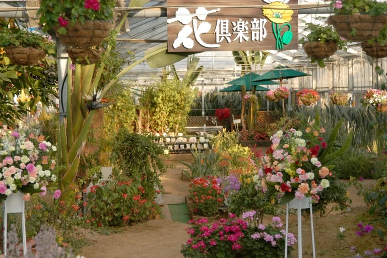 Otsu-no-Sato - Image 2