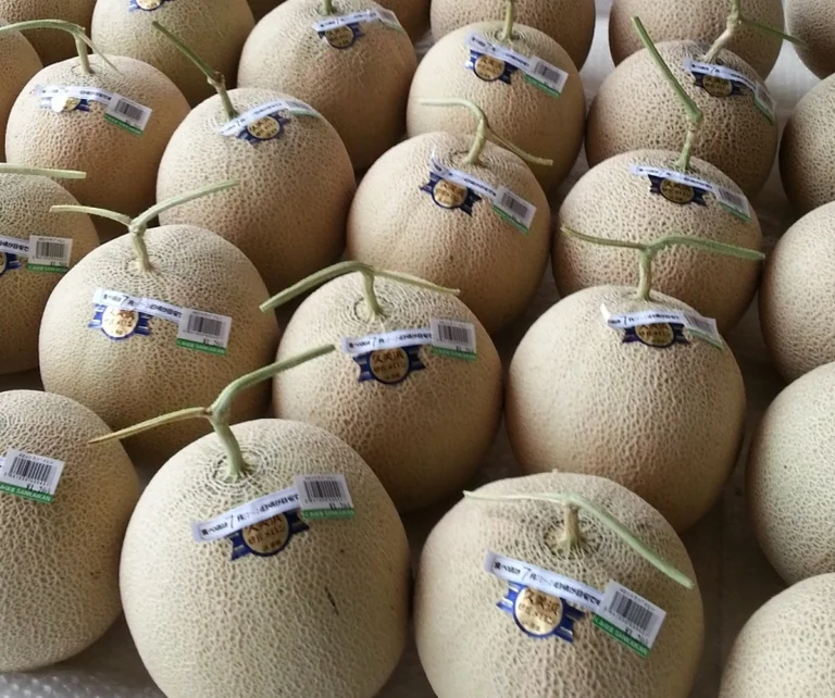 Kumihama SANKAIKAN - Image 3