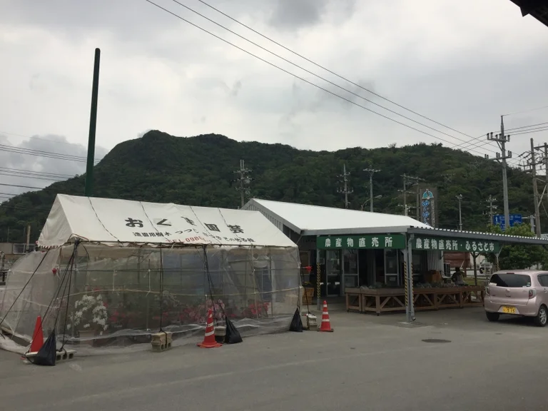 Yui Yui Kunigami - Image 3