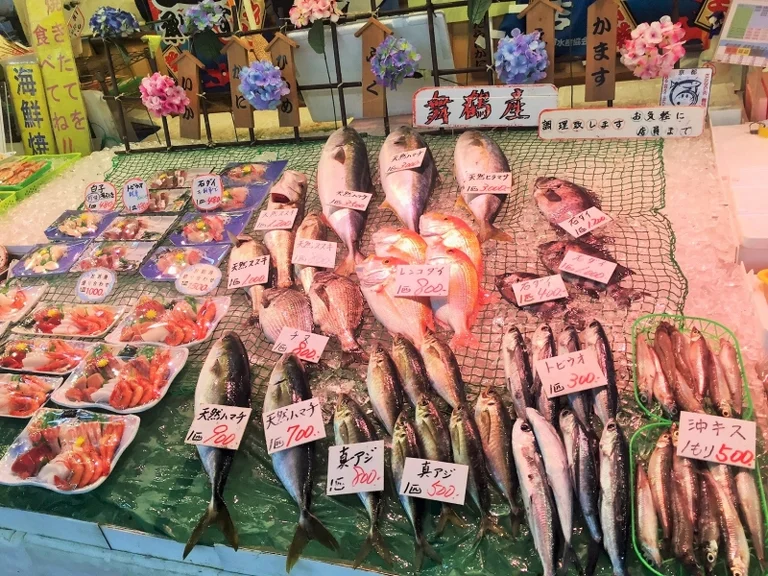 Maizuru Port Toretore Center - Image 2