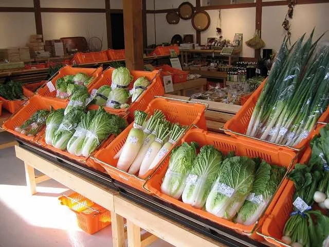 Yoka Tajima-gura - Image 2