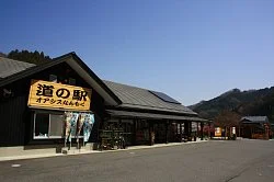 Oasis Nanmoku - Image 3