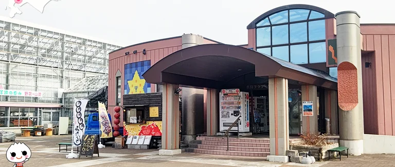 Makkari Flower Center - Image 2