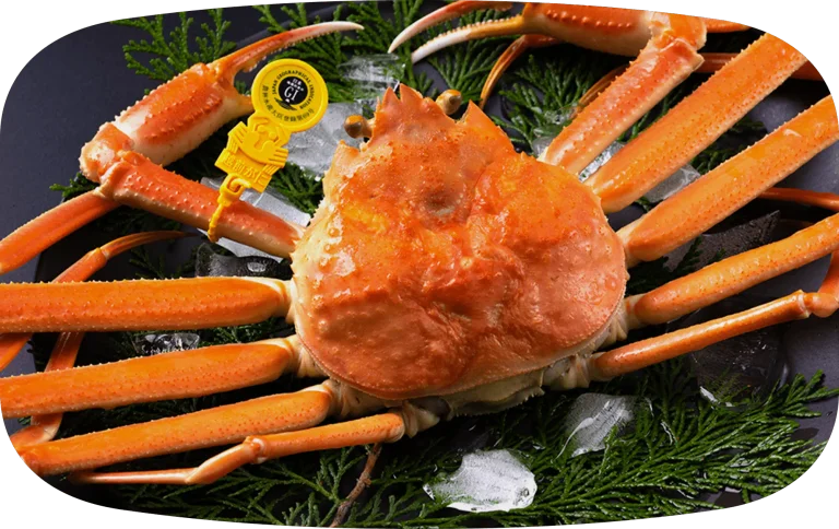 Sauce Pork Cutlet Rice