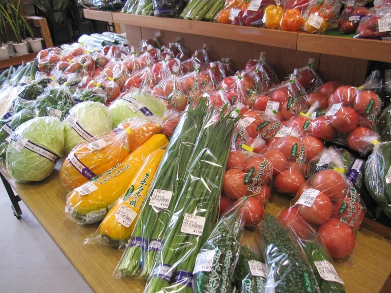 Nishi-Aidu - Image 3