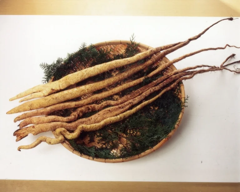 Michi-no-Eki Hanayama - Image 3