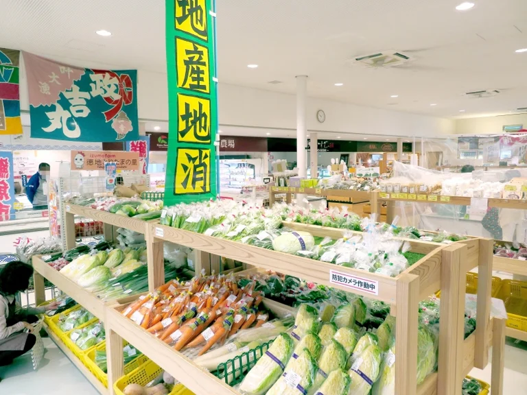 Sorene Shunan - Image 2