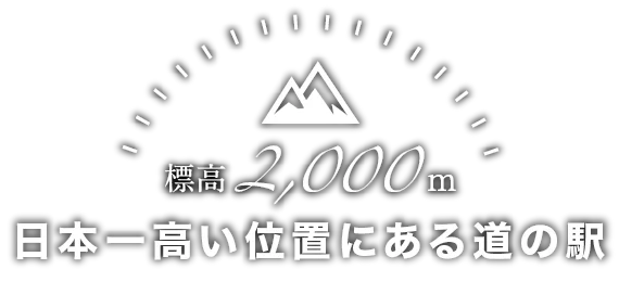 Craft & Souvenir Shop