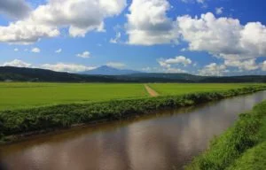 西目產與濃郁海帶