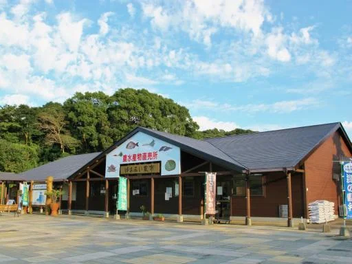 田平町特产市场