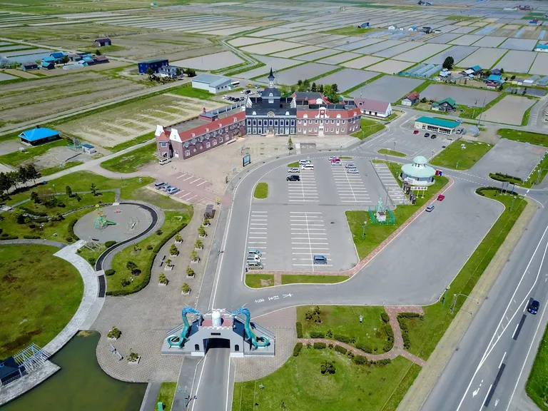 Sunflower Hokuryu - Image 2