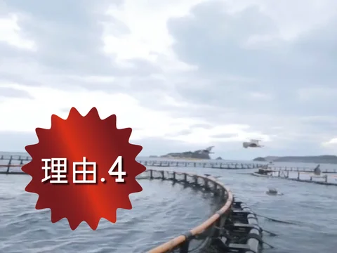 Takara Island Tuna Soup