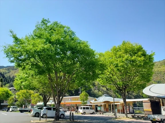 Seiryu no Sato Hijikawa - Image 2