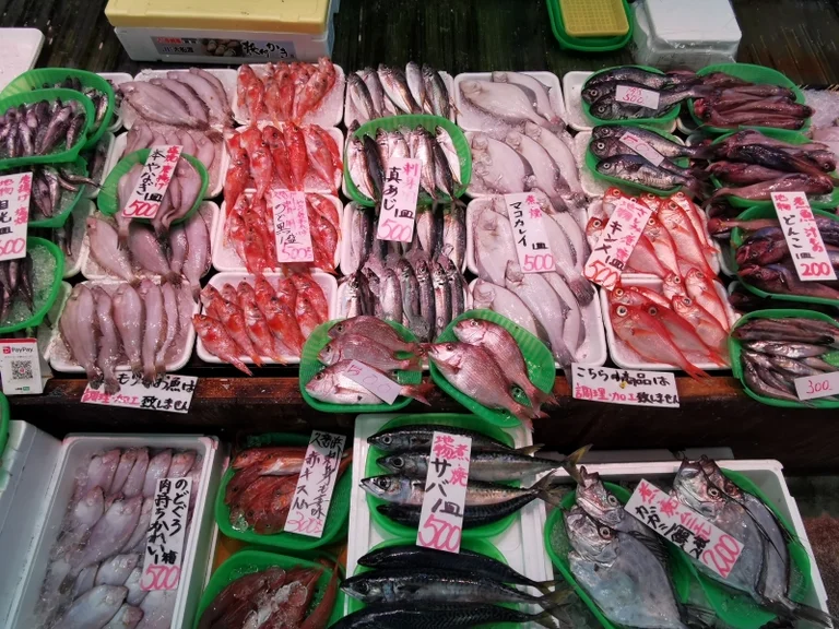 Hitachi Osakana Center - Image 2