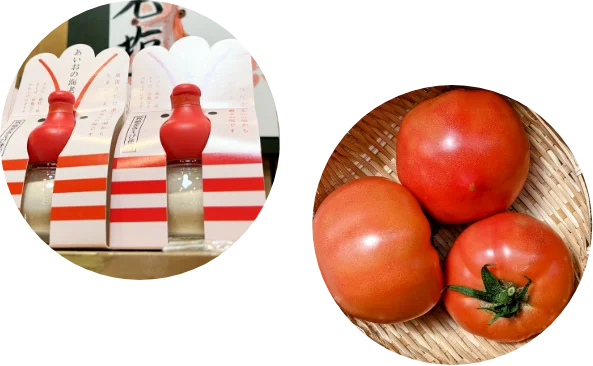 건조 해산물 전문점