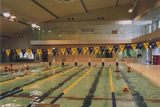 Dandelion Dining Area