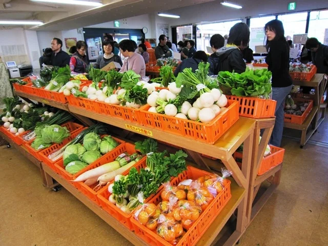 Hokushinsh Yamanouchi - Image 3