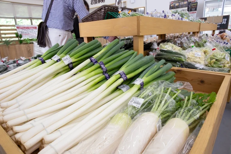 Seasonal Town Tenei - Image 3