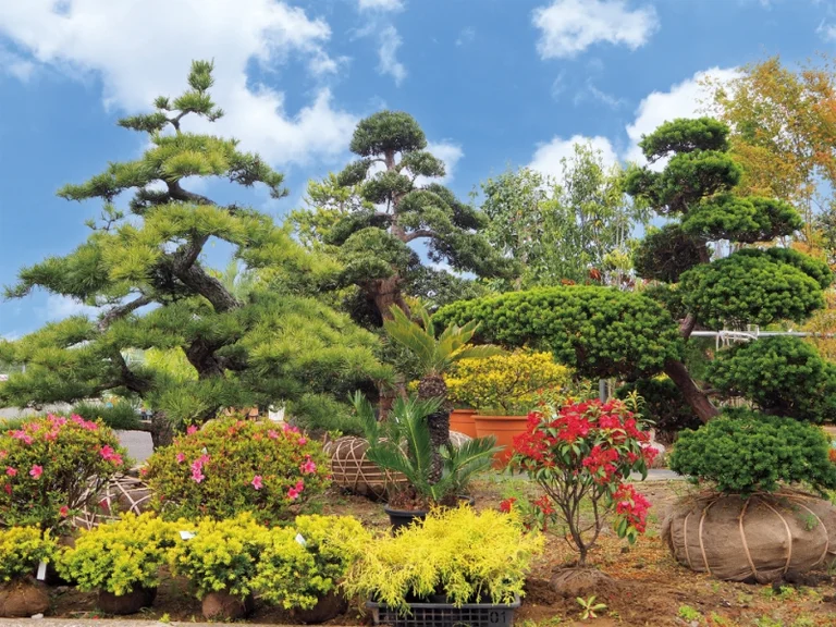 Minori no Sato Tōgane - Image 2