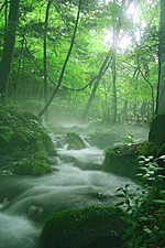 Shinjinze Spring Water