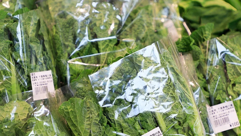 Seafood & Souvenir Shop