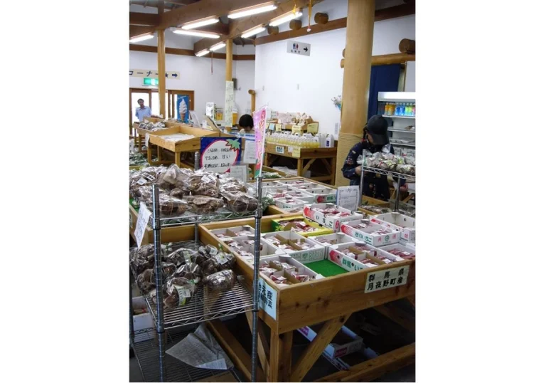 Tsukiyono Yase Shinsuikoen - Image 3