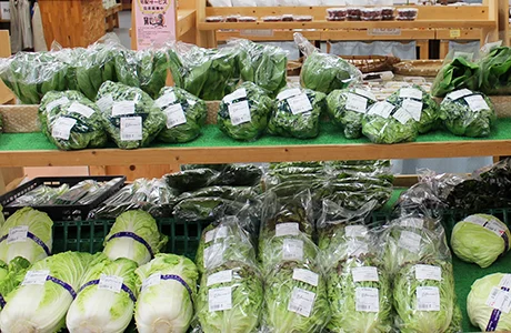 小山田的生どら