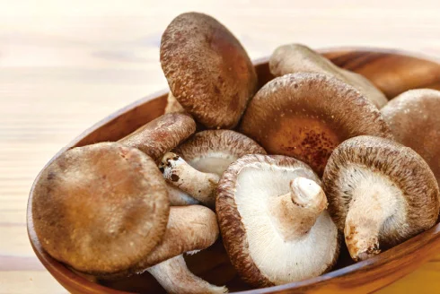 Shiitake Mushrooms