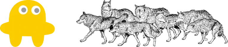 Official Danbaya Village Merchandise Store