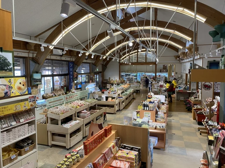 Silk Way Nichihara - Image 2