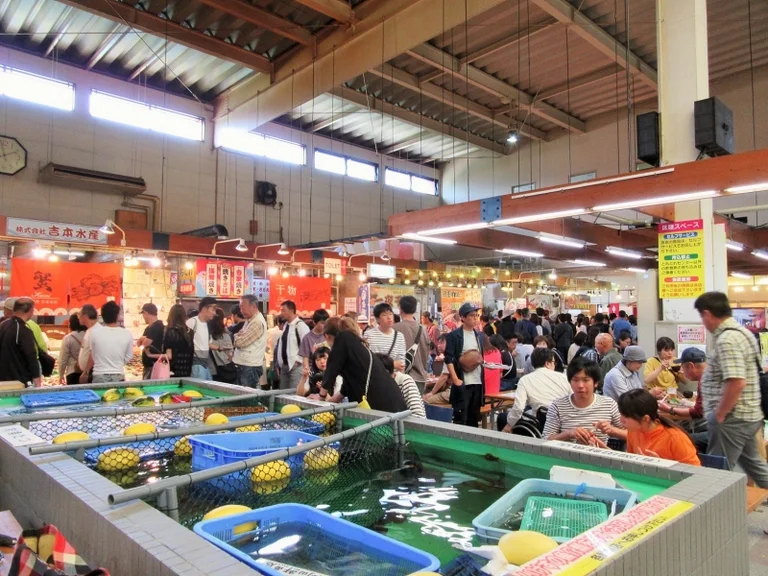 Maizuru Port Toretore Center