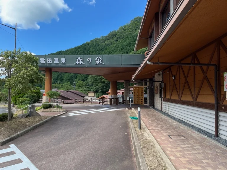 Forest Kimita - Image 2