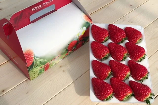 Hama Berry Strawberry Jam