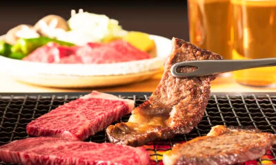 High-Altitude Apple Cider (5 bottles)