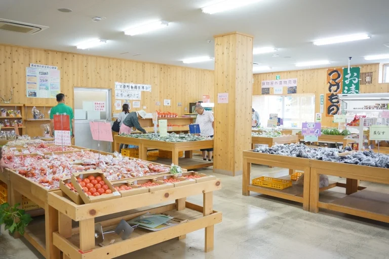 Nose (Kuri no Sato) - Image 2