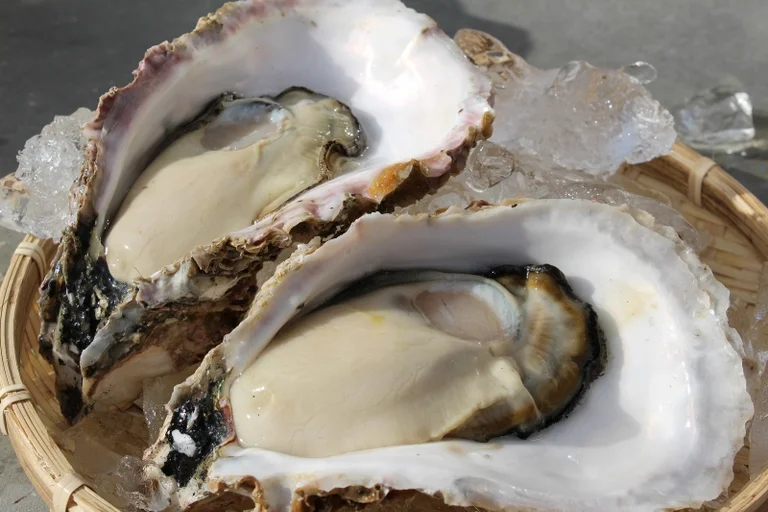 Takada Matsubara - Image 3