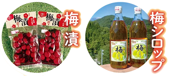 Plum Pickle and Plum Syrup