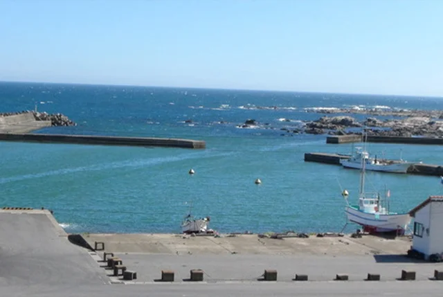 Chiba Local Food & Drink Shop