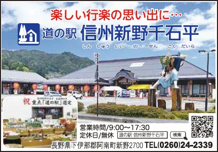 Shinshu Niino Sengokudaira - Image 2