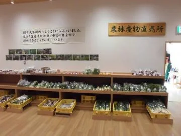 武艺川特产直销店