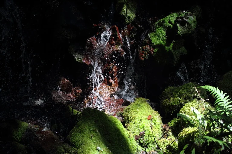 Takenko Noodle & Side Dish Shop