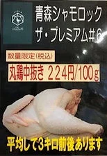 Shamo Rock Premium #6 (Frozen)